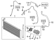 Ford EcoSport A/C Compressor Clutch Diagram - MX6Z-19D786-A