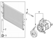Ford Transit-250 A/C Compressor Diagram - SK4Z-19703-A