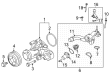 Ford F-150 Water Pump Pulley Diagram - ML3Z-8509-B