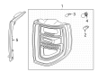 Ford Bronco Sport Tail Light Diagram - M1PZ-13405-B
