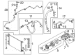 Ford A/C Compressor Diagram - BR3Z-19703-B