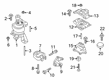 Ford SSV Plug-In Hybrid Engine Mount Torque Strut Diagram - DP5Z-6068-A
