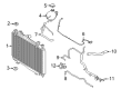 Ford EcoSport Coolant Reservoir Hose Diagram - GN1Z-8A365-N