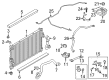 Ford Escape Coolant Reservoir Hose Diagram - CV6Z-8B081-Y
