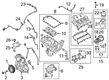 Ford F-150 Fuel Water Separator Filter Diagram - JL3Z-9N184-A