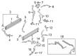 Ford Police Interceptor Utility Coolant Reservoir Hose Diagram - L1MZ-8286-P