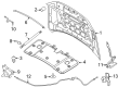 Lincoln Navigator Hood Diagram - SL7Z-16612-A