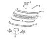 Ford F-150 License Plate Diagram - F65Z-17A385-BA