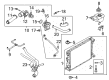 Ford Mustang Water Hose Diagram - 7R3Z-8260-B