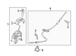 Ford EcoSport Shift Knob Diagram - GN1Z-7213-AA