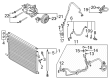 Ford Explorer A/C Compressor Diagram - L1MZ-19703-J