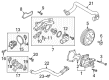 Ford Water Pump Diagram - CM5Z-8501-A