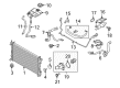 Ford Coolant Reservoir Hose Diagram - 9T1Z-8286-C
