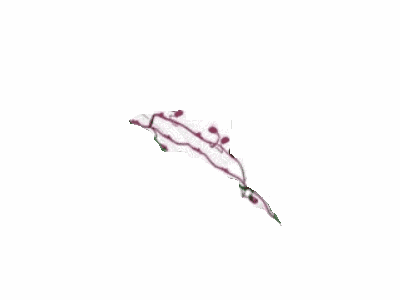 Ford JR3Z-13412-C Socket And Wire Assembly - Lamp, Rear JR3Z-13412-C Ford Socket And Wire Assembly - Lamp, Rear Illustration 1 of 1