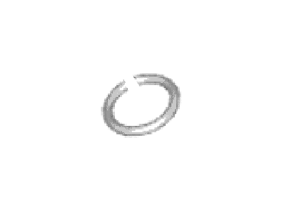 4N2Z-9229-A Ford Injector O-Ring Illustration 1 of 1