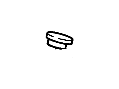 Lincoln -378377-S Plug - Blanking