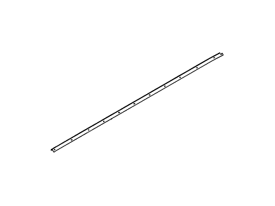 6L2Z-78253A44-A Ford Weatherstrip - Door - Lower, Passenger Side Illustration 1 of 1
