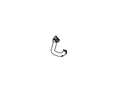 Ford 8C3Z-8075-C Hose Assembly 8C3Z-8075-C Ford Hose Assembly Illustration 1 of 1
