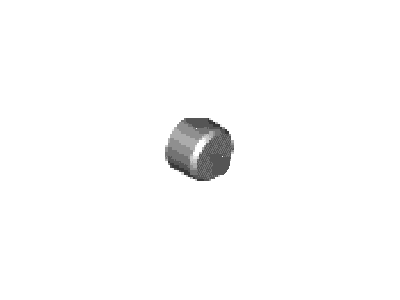 Lincoln -W701516-S901 Expansion Plug