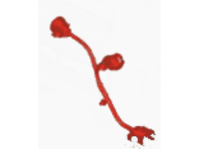 Ford HL3Z-8C290-A Wire Assembly - Fan Motor HL3Z-8C290-A Ford Wire Assembly - Fan Motor Illustration 1 of 1