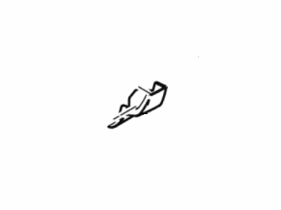 Ford DT4Z-7810177-AAPTM Moulding