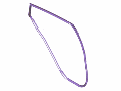 Ford CE8Z-54253A11-A Weatherstrip Assy - Door Opening