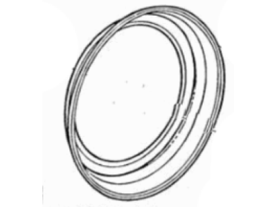 Ford E2TZ-1210-A Ring - Wheel Trim