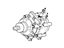 Ford 9L2Z-19V703-E Compressor Assembly Ford 9L2Z-19V703-E Compressor Assembly