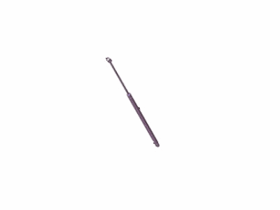 Lincoln FA1Z-16C826-B Lift Assy - Gas