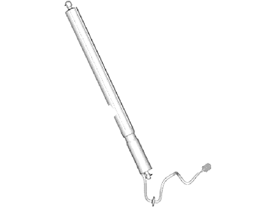 Ford AM5Z-58406A10-C Lift Assy - Gas