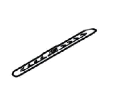 Ford CM5Z-5813209-A Insert Strip