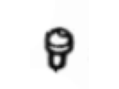 Ford EOTZ-17603-B Washer Nozzle