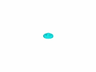 Ford -W718584-S442 Nut And Washer Assembly - Hexagon
