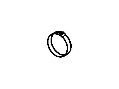 Mercury FOTZ-5A231-AA Strap - Safety