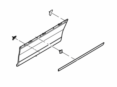 Lincoln 2W1Z-5425556-BAC Moulding - Door Outside