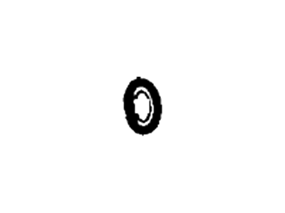 Mercury 1W1Z-19E889-LA "O" Ring                           