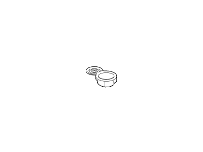 Lincoln 4W4Z-54047A74-AA Mat