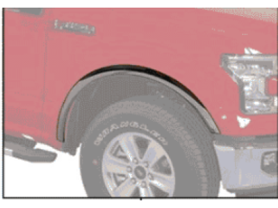 Ford VGL3Z-16268-A Moulding, Stainless Steel