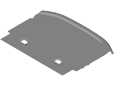 Ford DM5Z-5813046-AB Carpet - Floor - Loading Comp.