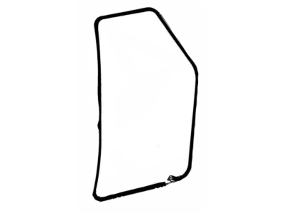 Ford FOTZ-1520708-A Weatherstrip On Body