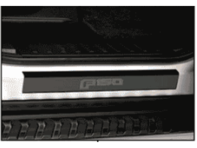 Ford VFL3Z-99132A08-A Plate - Door Scuff, Stainless Steel