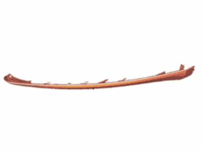 Ford DS7Z-17626-BACP Panel