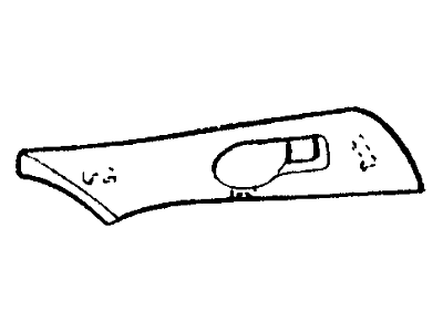 Ford F68Z1622635AAB Handle Bezel
