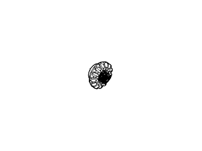 Mercury 6L2Z-4215-FA Pinion - Differential