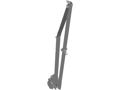 Ford DT1Z-17611B08-AA Seat Belt Assy