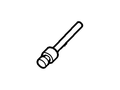Ford -W702287-S300 Plug