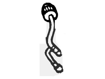 Ford 2L5Z7210AC Gear Shift Assembly