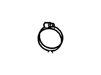 Mercury FOTZ-5A231-AA Strap - Safety