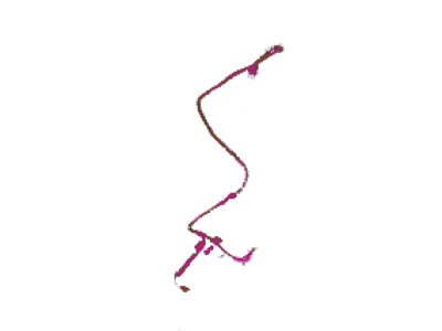 Ford HC3Z-14334-A Wiring Assy
