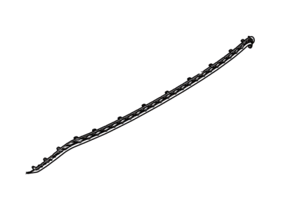 Ford FM5Z-17765-AA Insert Strip